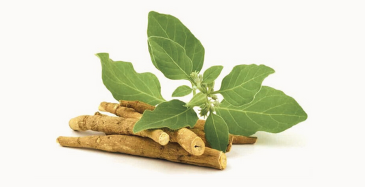 Ashwagandha for Menopause: Natural Support for Stress, Energy, and Libido