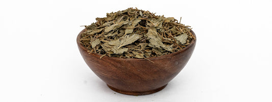 Bacopa Monnieri for Menopause Brain Fog: What It Is and How It May Help