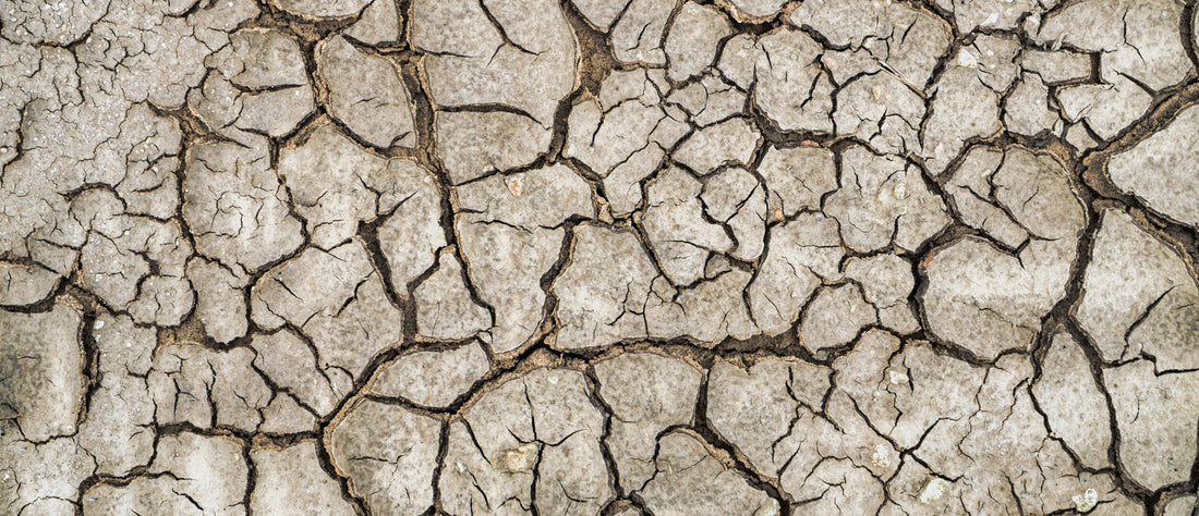 Dry Eyes, Dry Mouth, Dry Skin: The Dryness No One Warns You About