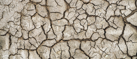 Dry Eyes, Dry Mouth, Dry Skin: The Dryness No One Warns You About