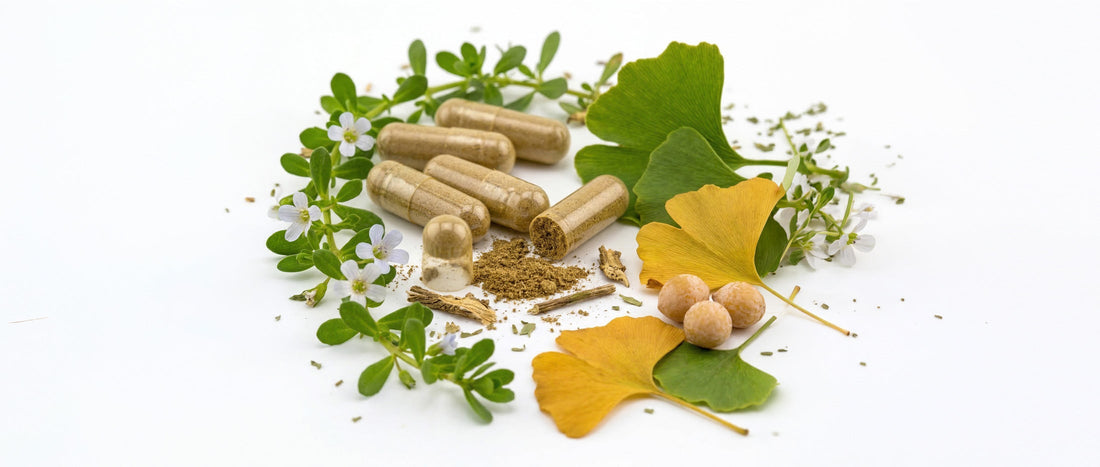 Combating Menopause Brain Fog with Nootropics